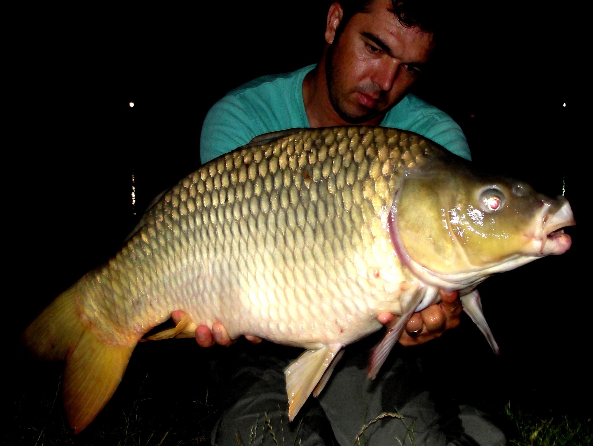 Moara Vlasiei 2 14 - 15 august 2014 - dsc04438.JPG